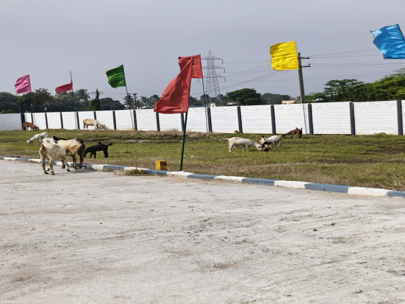  960 Sq.ft. Residential Plot for Sale in Pattabiram, Chennai