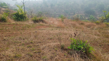  Agricultural Land for Sale in Tapola, Mahabaleshwar