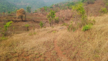  Agricultural Land for Sale in Tapola, Mahabaleshwar