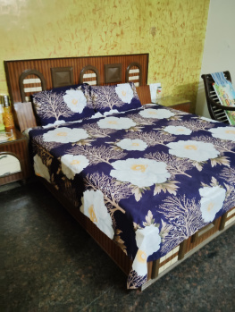 1 BHK House for Rent in Ashok Nagar, Jalandhar