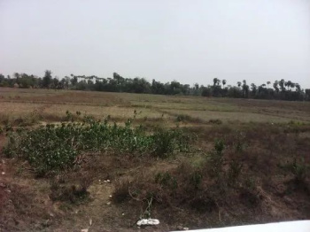  Agricultural Land for Sale in Desuri, Pali