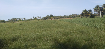  Agricultural Land for Sale in Sri Poonkuyil Nagar, Karur