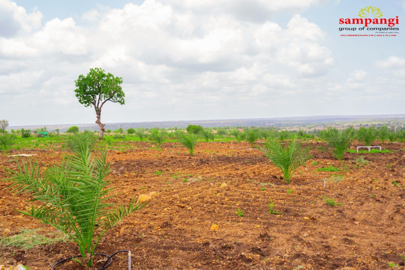Sadasivpet, Sangareddy photo 4