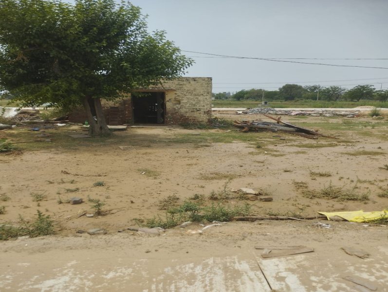  Residential Plot 50 Sq. Yards for Sale in Najafgarh, Delhi