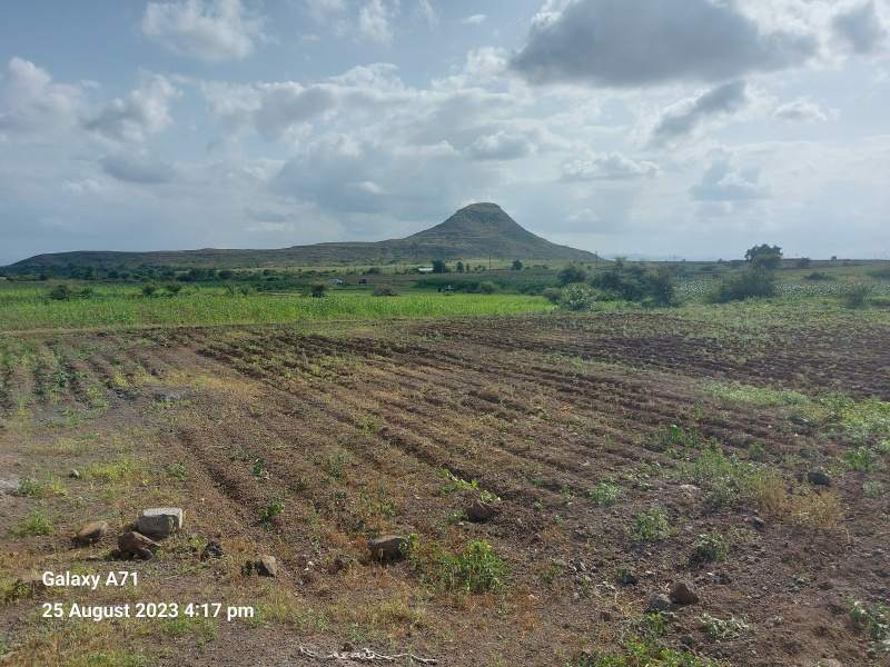Agricultural Land 4 Acre for Sale in Malegaon, Nashik