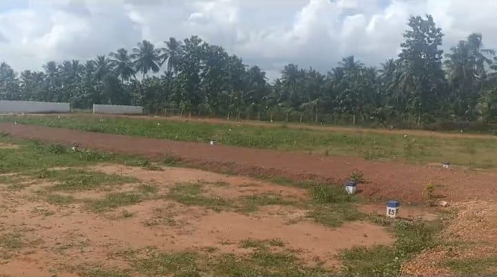  Residential Plot 1200 Sq.ft. for Sale in Sengipatti, Thanjavur