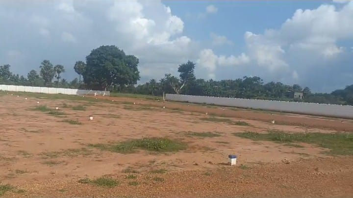  Residential Plot 1200 Sq.ft. for Sale in Sengipatti, Thanjavur