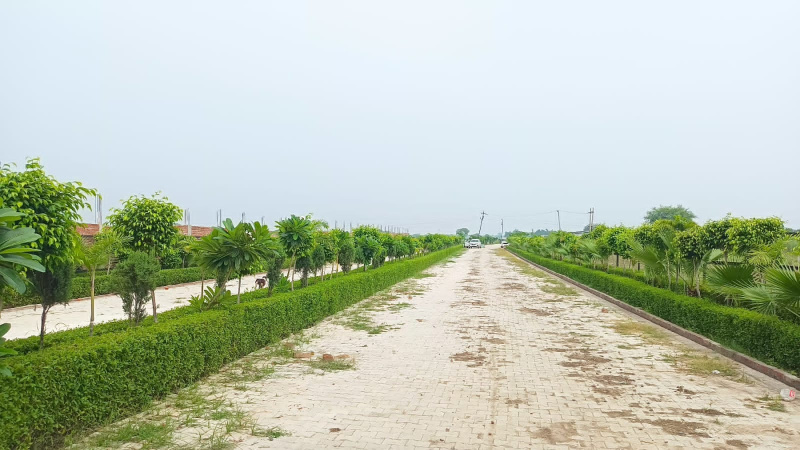  Residential Plot 100 Sq. Yards for Sale in Meja, Allahabad