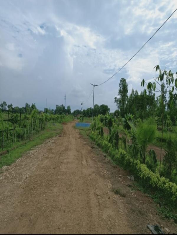  Residential Plot 100 Sq. Yards for Sale in Shankargarh, Allahabad