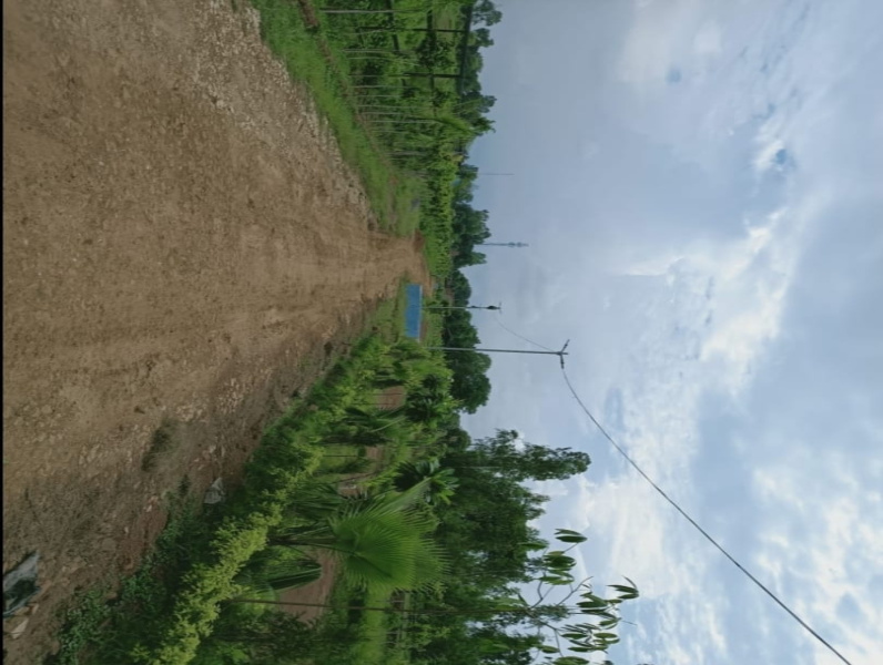  Residential Plot 111 Sq. Yards for Sale in Meja, Allahabad