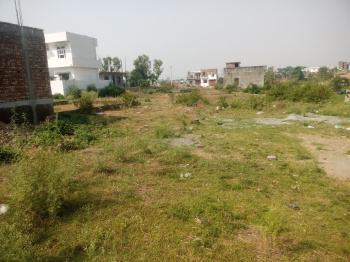  Residential Plot for Sale in Shyampur, Rishikesh