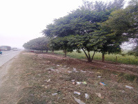 Commercial Land for Sale in Safedabad, Lucknow