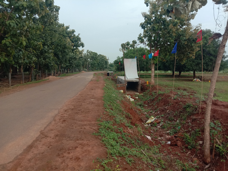  Residential Plot 150 Sq. Yards for Sale in Mallavalli, Krishna