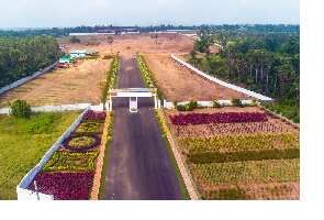  Residential Plot for Sale in Polipalli, Visakhapatnam