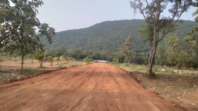 Badepalle, Mahbubnagar photo 5