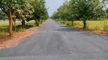  Residential Plot for Sale in Bhogapuram, Visakhapatnam