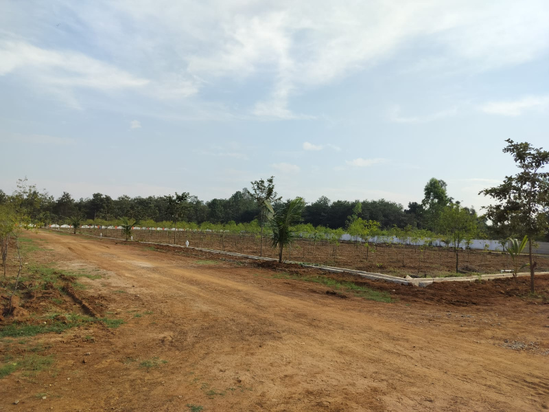 Bobbili, Vizianagaram photo 4
