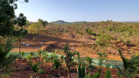  Agricultural Land for Sale in Roha, Raigad
