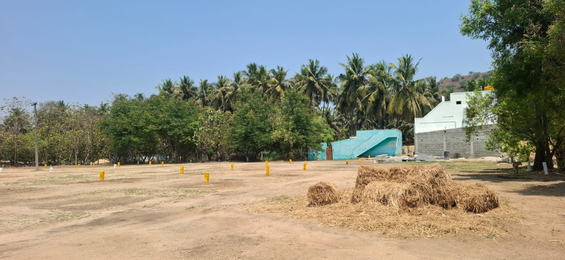  800 Sq.ft. Residential Plot for Sale in Vaduganthangal, Vellore