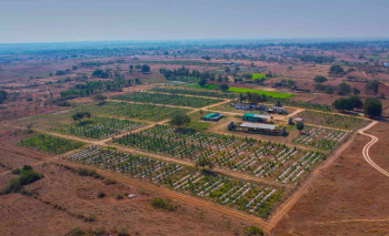  Agricultural Land for Sale in Bagepalli, Bangalore