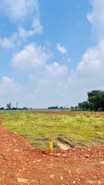 Boria Kalan, Raipur photo 3