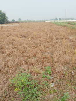  Residential Plot for Sale in Dasna, Ghaziabad