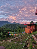  Hotels for Sale in Chamba, Tehri Garhwal