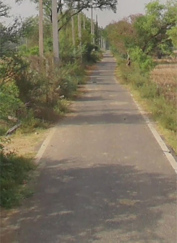  Agricultural Land for Sale in Issapur, Delhi