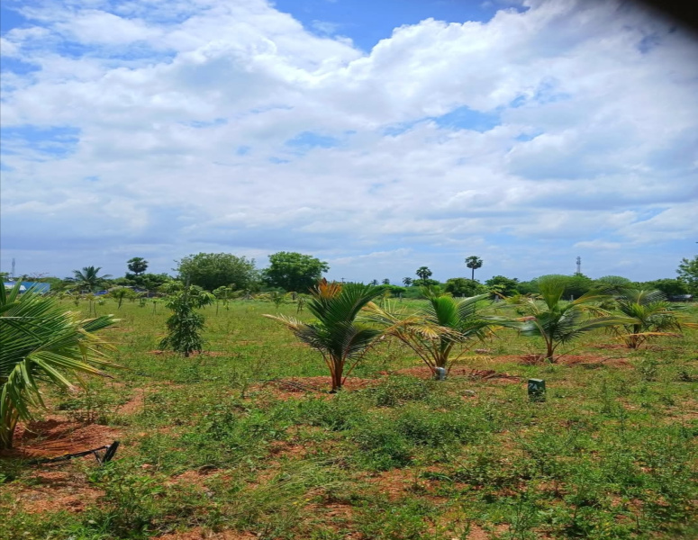  Agricultural Land 25 Cent for Sale in Siruganur, Tiruchirappalli
