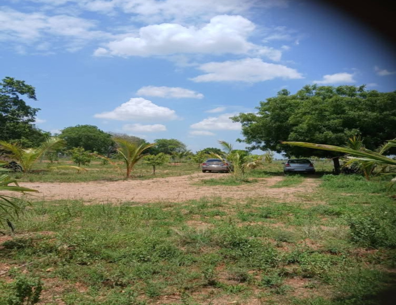  Agricultural Land 25 Cent for Sale in Siruganur, Tiruchirappalli