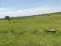  Residential Plot for Sale in Aranvoyal, Chennai