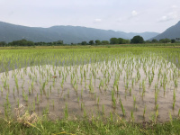  Agricultural Land for Sale in Thuraiyur, Tiruchirappalli