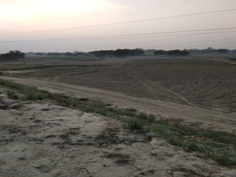 Residential Plot 13 Biswa for Sale in Palhani Block, Azamgarh
