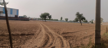  Agricultural Land for Sale in Pataudi, Rewari