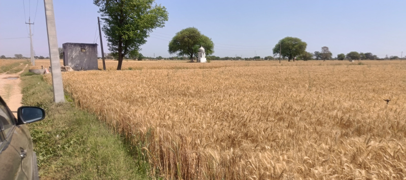  Agricultural Land 1 Acre for Sale in Pataudi Road, Gurgaon