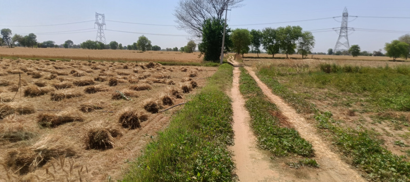  Agricultural Land 1 Acre for Sale in Pataudi Road, Gurgaon