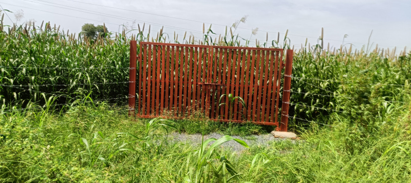 Agricultural Land 3 Acre for Sale in Pataudi, Gurgaon