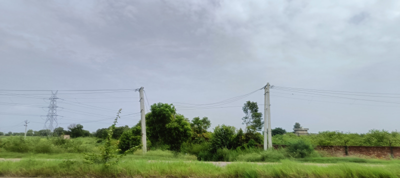  Agricultural Land 1 Acre for Sale in Pataudi, Gurgaon