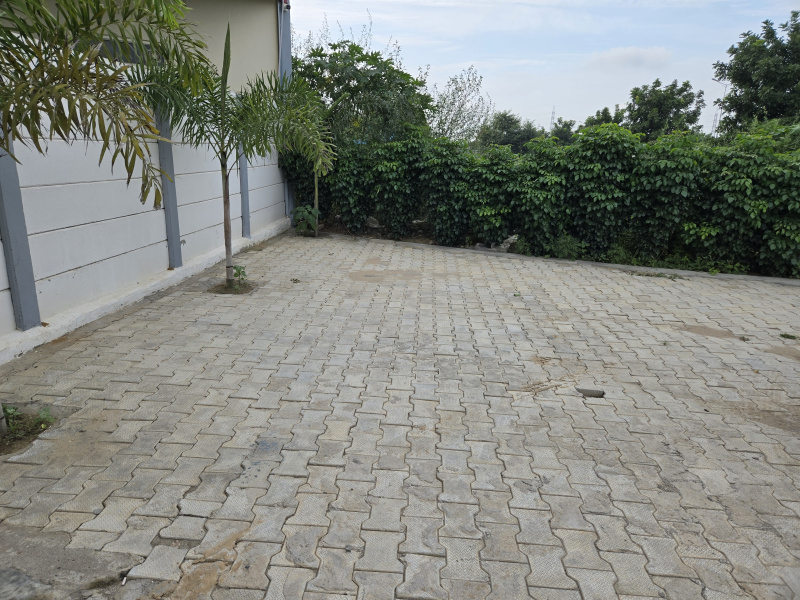  1000 Sq. Yards Agricultural/Farm Land for Sale in Dhorka, Gurgaon