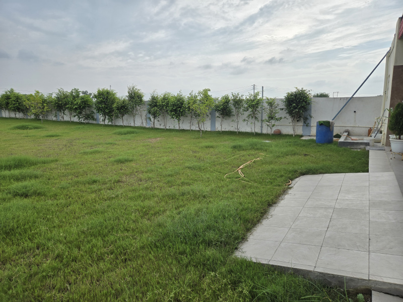 1000 Sq. Yards Agricultural/Farm Land for Sale in Dhorka, Gurgaon