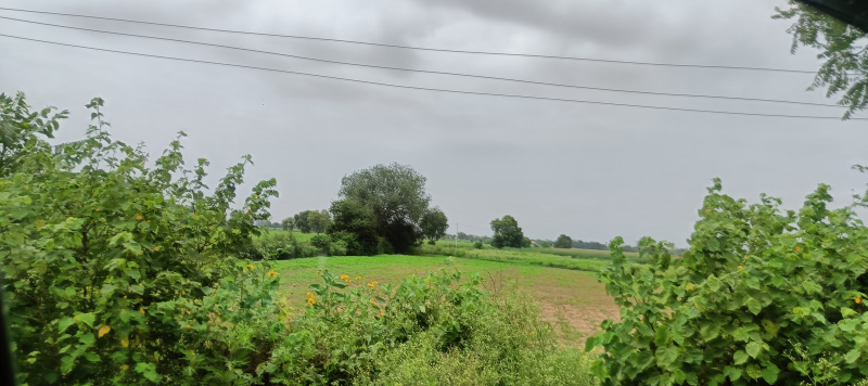 5 Acre Agricultural/Farm Land for Sale in Pataudi, Gurgaon