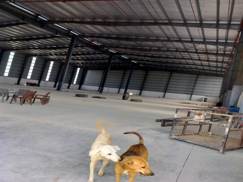  20000 Sq.ft. Warehouse for Rent in Jamalpur, Gurgaon