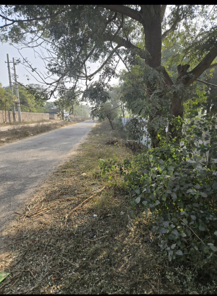  3 Acre Agricultural/Farm Land for Sale in Badshahpur, Gurgaon