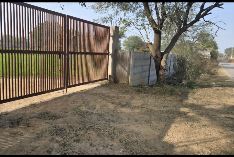  3 Acre Agricultural/Farm Land for Sale in Badshahpur, Gurgaon