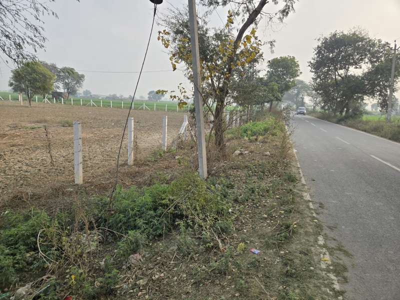 7 Acre Agricultural/Farm Land for Sale in Farrukhnagar, Gurgaon