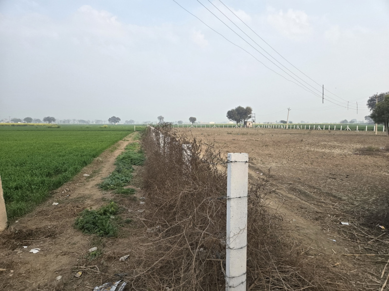  7 Acre Agricultural/Farm Land for Sale in Farrukhnagar, Gurgaon