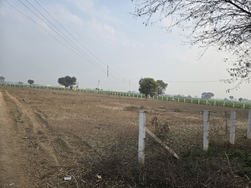  7 Acre Agricultural/Farm Land for Sale in Farrukhnagar, Gurgaon