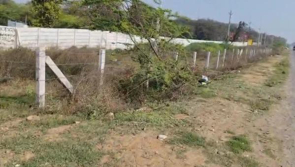 Rewari Rural, Rewari photo 4