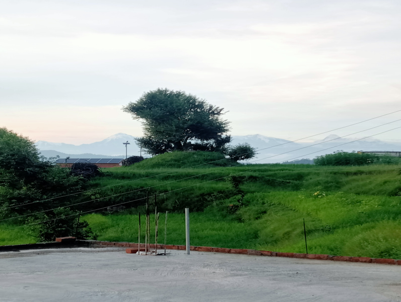  1800 Sq.ft. Residential Plot for Sale in Binsar, Almora