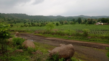 Agricultural Land for Sale in Mohgaon, Chhindwara
